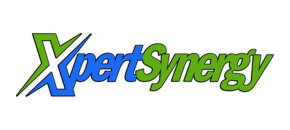 Pt Xpert Synergy Solution Logo